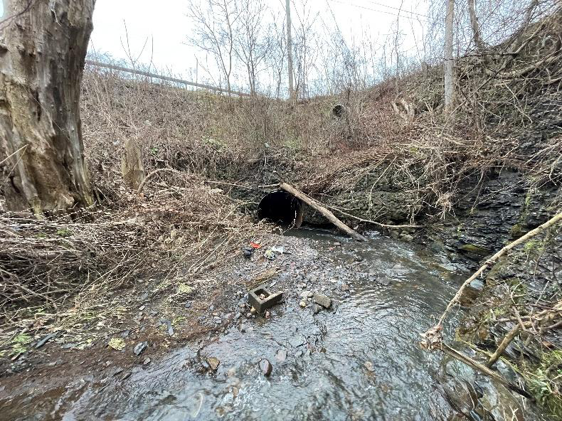 Structure elevation looking north